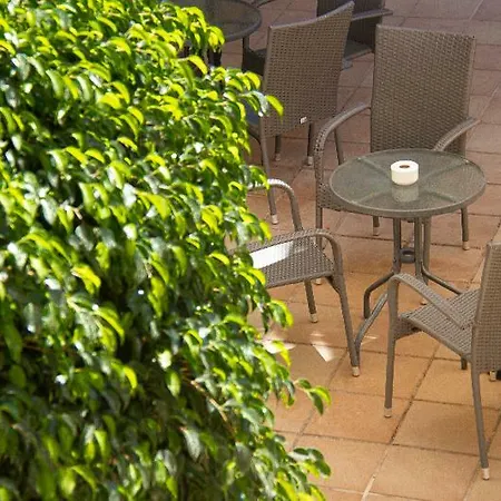 Selva Arenal אל ארנל