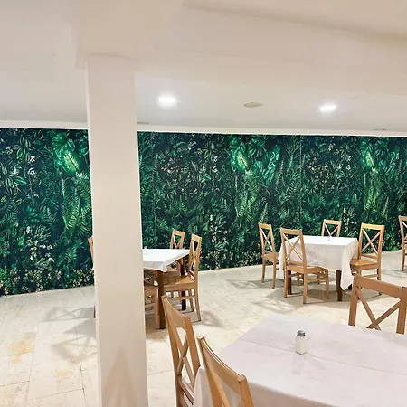 Selva Arenal 2* 埃尔阿雷纳尔